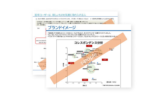 調査報告書