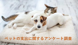 ペットの支出に関するアンケート調査