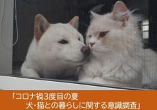 「コロナ禍3度目の夏　犬・猫との暮らしに関する意識調査」結果を発表