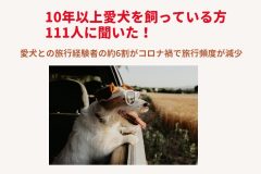 10年以上愛犬を飼っている方111人に聞いた！<br>愛犬との旅行経験者の約6割がコロナ禍で旅行頻度が減少