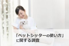 アフターコロナでペットシッターを定期利用する方が急増中　 「ペットシッターの使い方」に関する調査を実施
