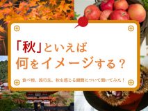 秋といえば何をイメージする？食べ物、旅行先、秋を感じる瞬間について聞いてみた。