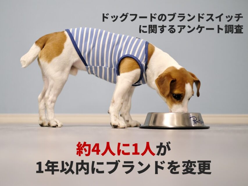 ドッグフードのブランドスイッチに関する調査